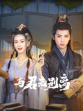 与君无别离海报